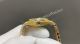 20260505 08 (3)_th.jpg